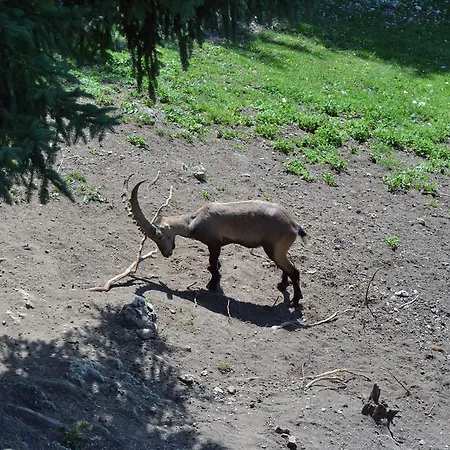 Gemma- Adults Only Szálloda